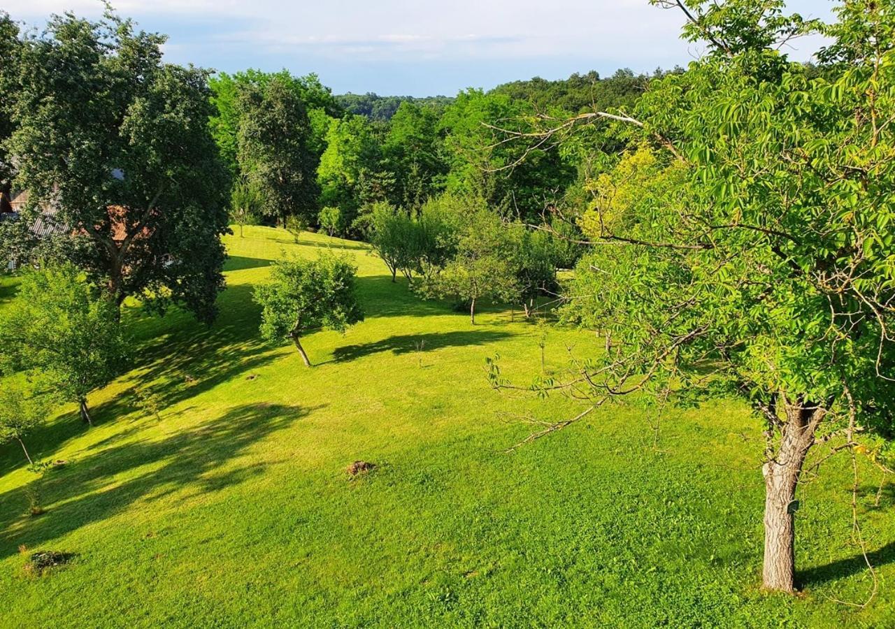 Green Eden Gornji Zvečaj Esterno foto