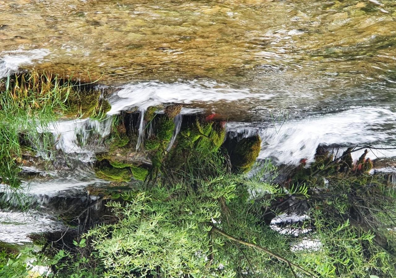 Green Eden Gornji Zvečaj Esterno foto
